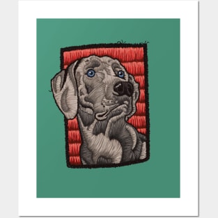 cool doggo! patch like weimaraner dog graphic Posters and Art